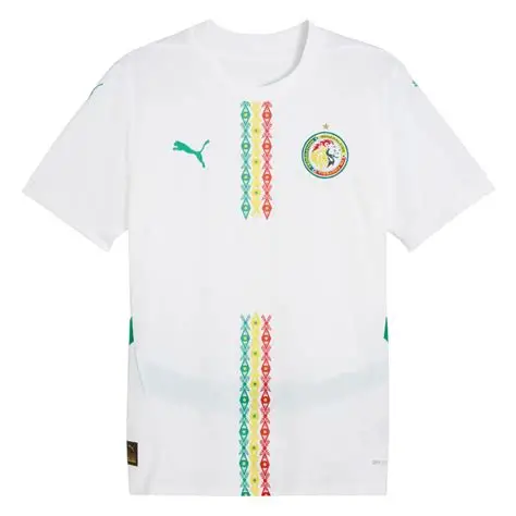 maillot 221