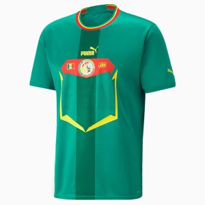 maillot 221