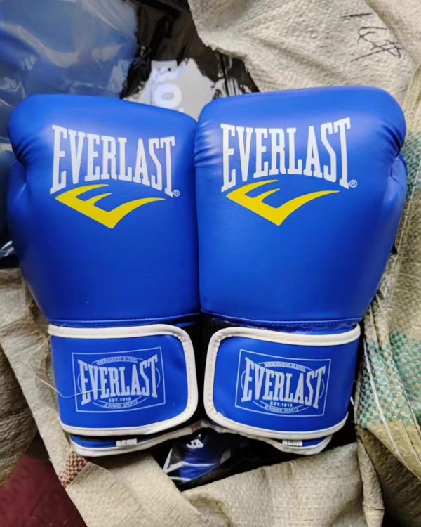 gants de boxe everlast bleus – qualité pro pour entraînement | dakar sénégal